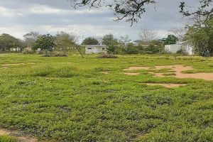 Field where I like to Hike to help with my Weight Loss