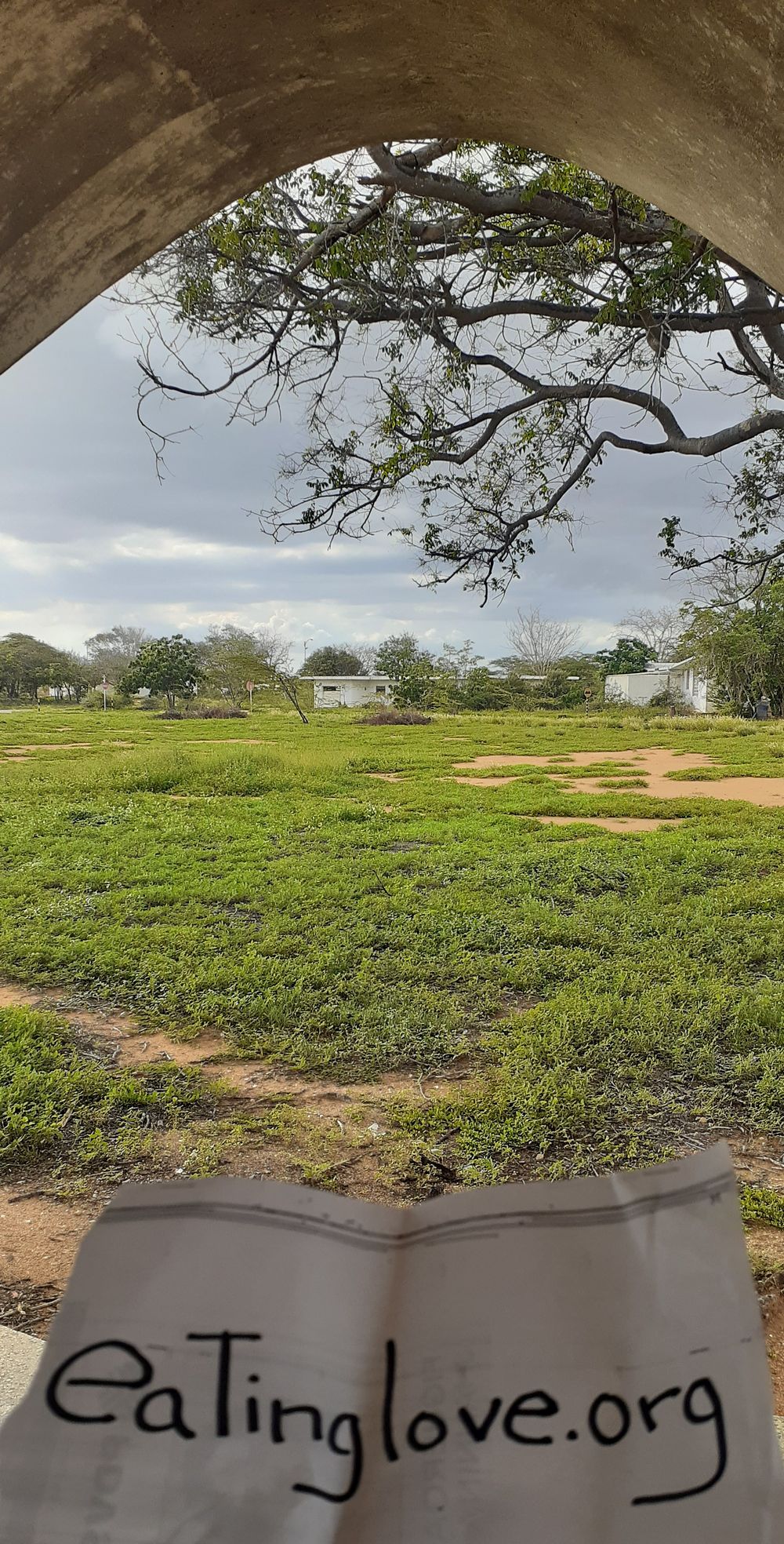 Field where I like to Hike to help with my Weight Loss